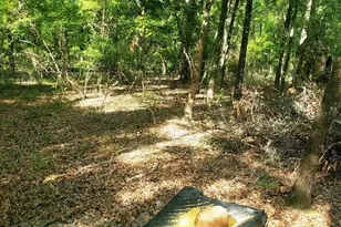 28063 31st Rd, Branford, FL 32008 - Photo 21