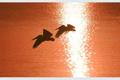 701 Marbury Lane, Longboat Key, FL 34228 - Photo 73