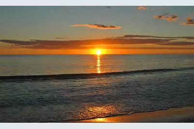 7804 20th Place W, Bradenton, FL 34209 - Photo 9