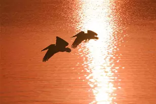 2124 Tamiami Trail N, Sarasota, FL 34234 - Photo 33