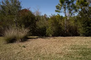 10011 Longmeadow Ave, Parrish, FL 34219 - Photo 39