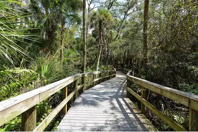 242 Pesaro Drive, North Venice, FL 34275 - Photo 89