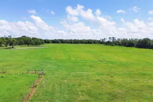 28120 Brandiff Rd, Myakka City, FL 34251 - Photo 21