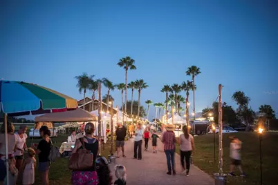 7039 Woodmore Terrace, Lakewood Ranch, FL 34202 - Photo 85