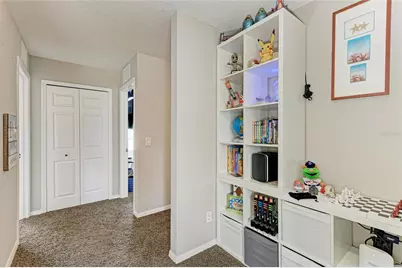 3911 91st Avenue E, Parrish, FL 34219 - Photo 33