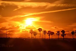 660 Golden Gate Point, Sarasota, FL 34236 - Photo 51