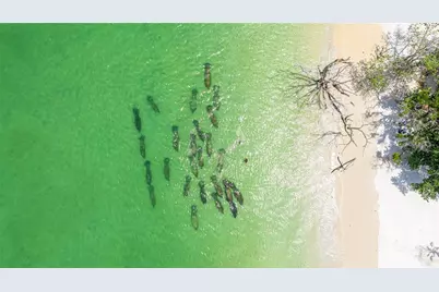 22 Sandy Cove Road #APT 10-5, Sarasota, FL 34242 - Photo 27