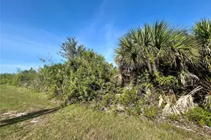 10047 Alvarez St, Port Charlotte, FL 33981 - Photo 1