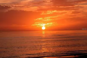 2308 Waterbluff Pl, Sarasota, FL 34231 - Photo 83