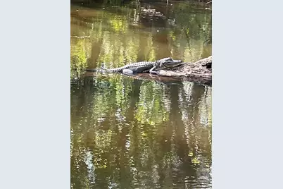 425 Cerromar Terrace #359, Venice, FL 34293 - Photo 57