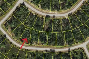 3343 Vineyard Cir, North Port, FL 34288 - Photo 1