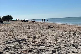 1488 Jupiter Rd, Venice, FL 34293 - Photo 61