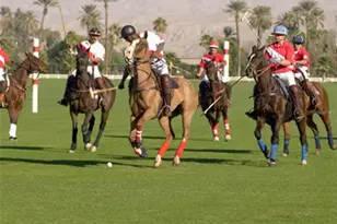 5822 Brandon Run, Bradenton, FL 34211 - Photo 33