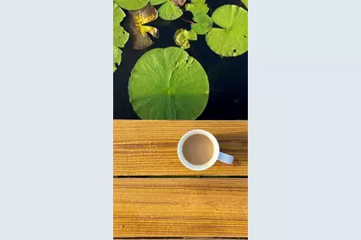 1162 County Road 20A, Hawthorne, FL 32640 - Photo 39