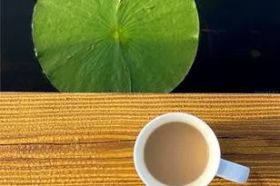 1162 Co Rd 20A, Hawthorne, FL 32640 - Photo 39