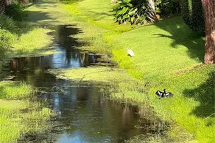 132 S Park Dr, Venice, FL 34285 - Photo 33