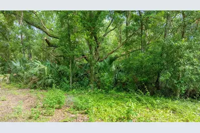 0 SW 141st Tract 69 Place, Dunnellon, FL 34432 - Photo 11