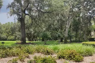 22011 Belgian Ct, Mount Dora, FL 32757 - Photo 33