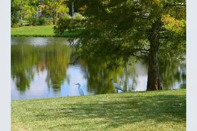 6404 Royal Tern Circle, Lakewood Ranch, FL 34202 - Photo 59