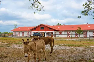 600 N Jackson Rd, Venice, FL 34292 - Photo 39