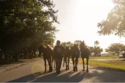 6020 County Road 675, Bradenton, FL 34211 - Photo 47