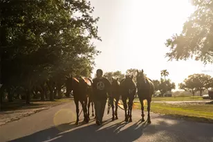 6020 Co Rd 675, Bradenton, FL 34211 - Photo 47