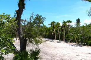 7233 Midnight Pass Rd, Sarasota, FL 34242 - Photo 9