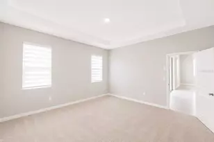 8469 Hardy Bay Loop, Wesley Chapel, FL 33545 - Photo 17
