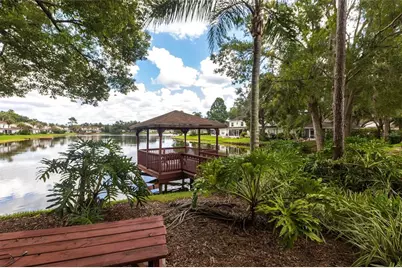 21508 Woodstork Lane, Lutz, FL 33549 - Photo 23