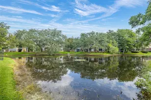 10020 Strafford Oak Ct, Tampa, FL 33624 - Photo 29