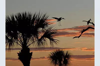 3440 Wild Oak Bay Boulevard #127, Bradenton, FL 34210 - Photo 5