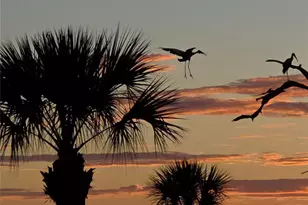 3440 Wild Oak Bay Blvd, Bradenton, FL 34210 - Photo 5