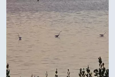 3440 Wild Oak Bay Boulevard #127, Bradenton, FL 34210 - Photo 37