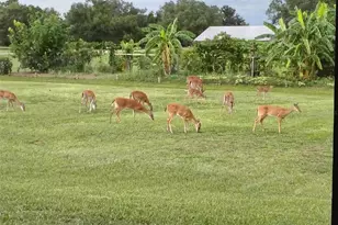 4004 Hidden River Ln, Sarasota, FL 34240 - Photo 41