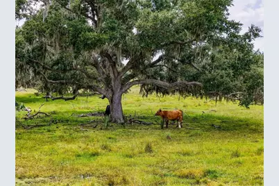 12950 River Road, Myakka City, FL 34251 - Photo 21