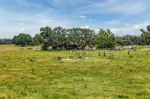 12950 River Rd, Myakka City, FL 34251 - Photo 15