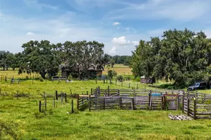 12950 River Rd, Myakka City, FL 34251 - Photo 13