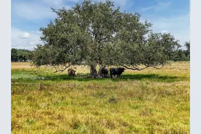 12950 River Road, Myakka City, FL 34251 - Photo 17