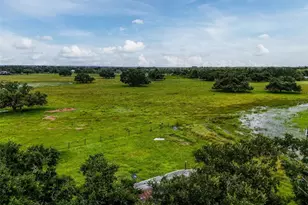 12950 River Rd, Myakka City, FL 34251 - Photo 31