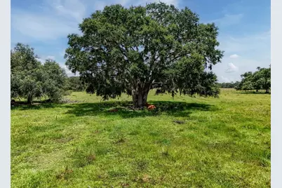 12950 River Road, Myakka City, FL 34251 - Photo 19