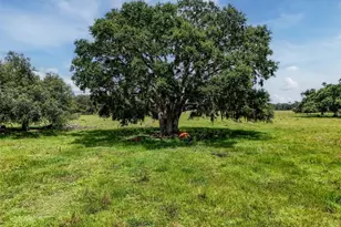 12950 River Rd, Myakka City, FL 34251 - Photo 19