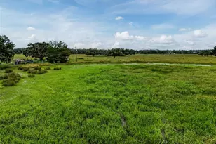 12950 River Rd, Myakka City, FL 34251 - Photo 33