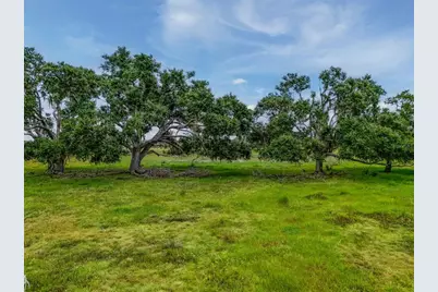 12950 River Road, Myakka City, FL 34251 - Photo 29