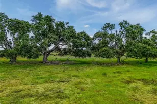 12950 River Rd, Myakka City, FL 34251 - Photo 29