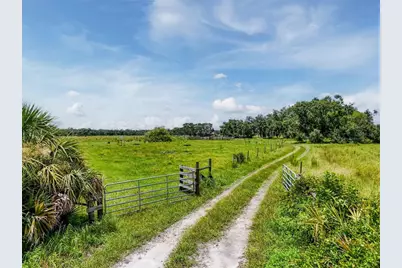 12950 River Road, Myakka City, FL 34251 - Photo 11