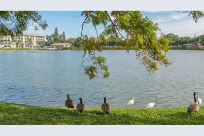 4130 Heron Way #B-115, Bradenton, FL 34205 - Photo 59