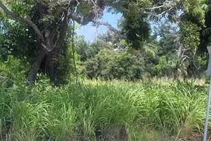 Old Trail, Nokomis, FL 34275 - Photo 1