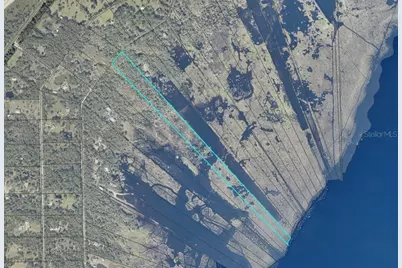 Lot 2 Near Osceola Road, Geneva, FL 32732 - Photo 5