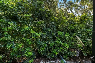 8809 Havenridge Drive, Sarasota, FL 34238 - Photo 57