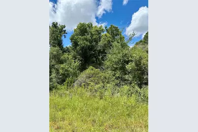 Constitution Drive, North Port, FL 34291 - Photo 3